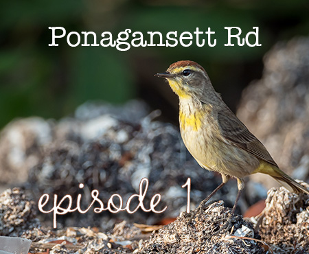 Episode 1 Vlog of Ponagansett Rd in RI link