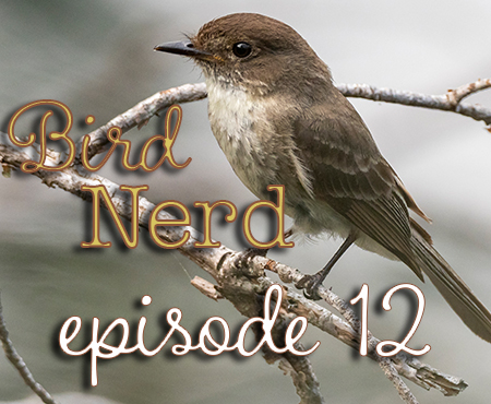 Bird Nerd Vlog Episode 12
