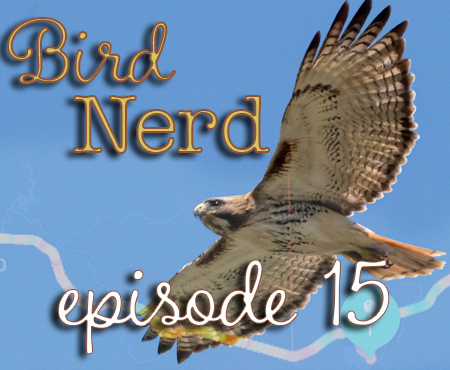 Bird Nerd Vlog Episode 15 Bike & Bird