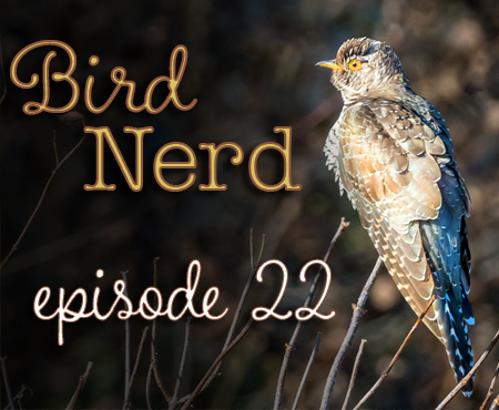 Bird Nerd Vlog Episode 22 Common Cuckoo