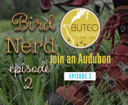 Bird Nerd Vlog Episode 2 Join an Audubon