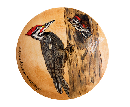 Top of Pileated Woodpecker Box