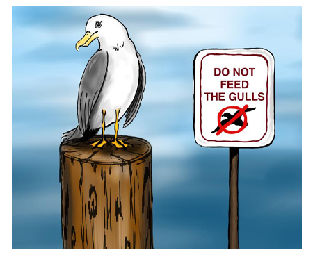 Digital Cartoon of Seagull