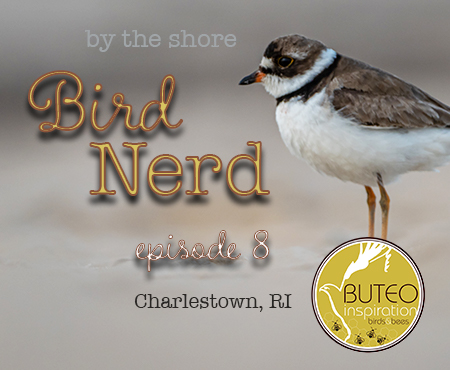 Bird Nerd Vlog Episode 8 Charlestown RI