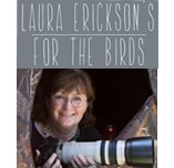 Laura Erickson's For the Birds Logo