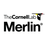 CornellLab Merlin App Logo