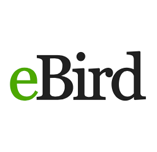 EBird logo