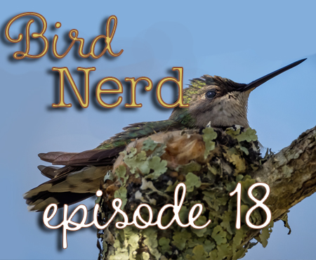 Bird Nerd Vlog Episode 18 Trustom Pond